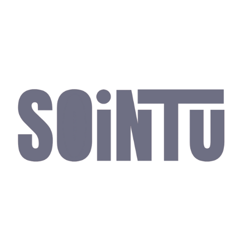 Sointu Logo